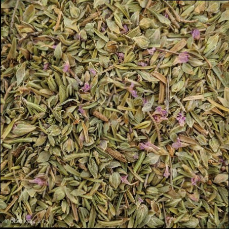 دمنوش تیول برای تسکین گلو درد مناسب است خواص گیاه تیول, گیاه تیول چیست