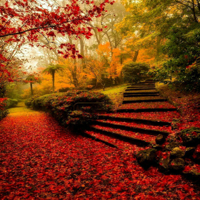 poems autumn1 2 اشعار زیبا و خواندنی درباره پاییز