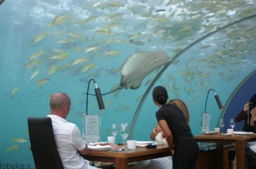 عكس هایی از رستورانی در زیر دریا