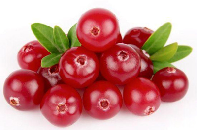 cranberry1 properties1 آشنايي با خواص كرن بري